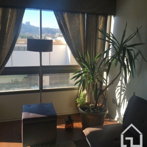 Arriendo: Dpto en Viña del Mar